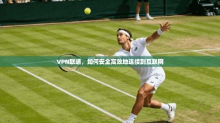 VPN联通，如何安全高效地连接到互联网