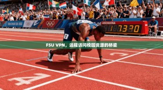 FSU VPN，远程访问校园资源的桥梁