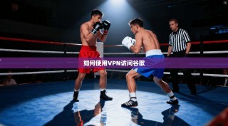 如何使用VPN访问谷歌