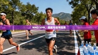 NMD VPN，理解与使用指南