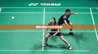 黑莓系统VPN配置指南