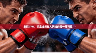 灰熊VPN，探索虚拟私人网络的另一种可能