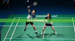 为什么VPN没有端口号？
