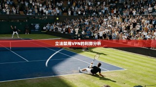 立法禁用VPN的利弊分析