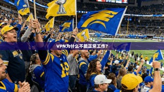 VPN为什么不能正常工作？