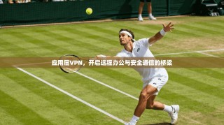 应用层VPN，开启远程办公与安全通信的桥梁