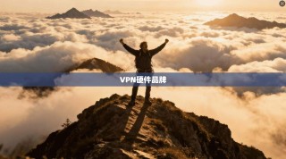 VPN硬件品牌