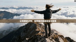 公司增加VPN，如何提升网络安全与效率