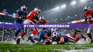 布丁VPN，一种新型的网络安全解决方案