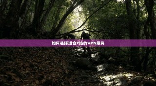 如何选择适合P站的VPN服务