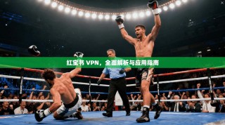 红宝书 VPN，全面解析与应用指南
