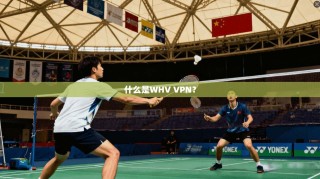 什么是WHV VPN？