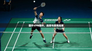 国外VPN插件，选择与使用指南