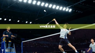 VPN英文全称