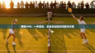 菊樱VPN，一种高效、安全的远程访问解决方案