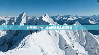 外网管制VPN，企业网络安全的新防线