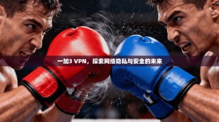 一加3 VPN，探索网络隐私与安全的未来