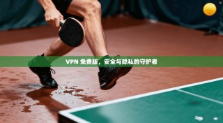 VPN 免费版，安全与隐私的守护者