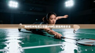 如何在树莓派上设置VPN以增强网络安全