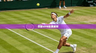 华数VPN收费解析