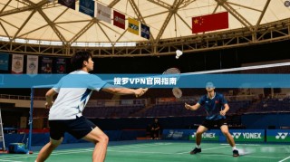 搜罗VPN官网指南