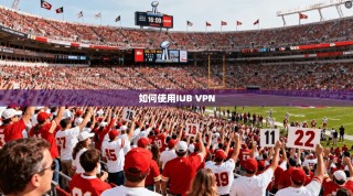 如何使用IUB VPN