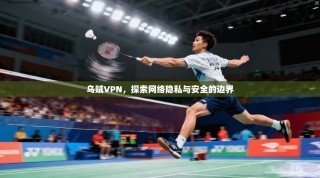 乌贼VPN，探索网络隐私与安全的边界