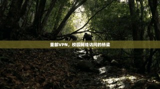重邮VPN，校园网络访问的桥梁