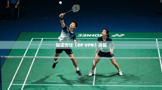 隧道协议（DP VPN）详解