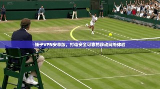 锤子VPN安卓版，打造安全可靠的移动网络体验