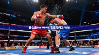 什么是Tur VPN？它是如何工作的？