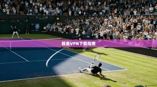 鲸鱼VPN下载指南