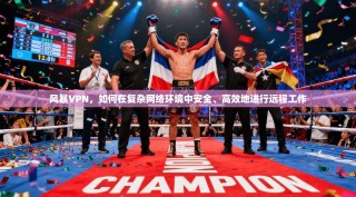 风暴VPN，如何在复杂网络环境中安全、高效地进行远程工作