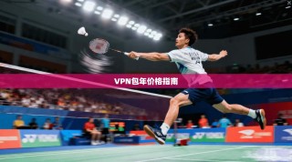 VPN包年价格指南