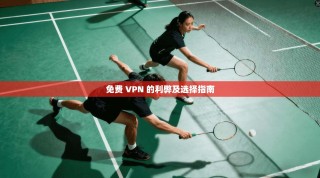 免费 VPN 的利弊及选择指南
