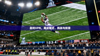 盈利VPN，商业模式、挑战与前景