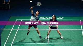 国内监管VPN，现状、挑战与未来