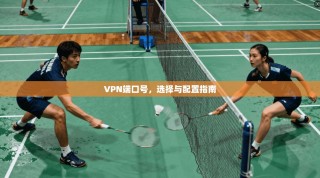 VPN端口号，选择与配置指南