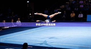 手机VPN使用指南