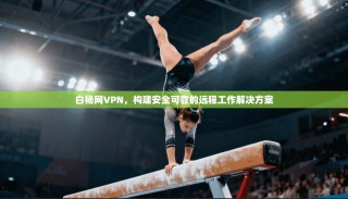 白杨网VPN，构建安全可靠的远程工作解决方案