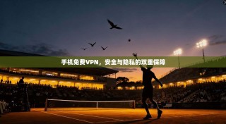 手机免费VPN，安全与隐私的双重保障