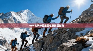 VPN公网IP的重要性及配置指南