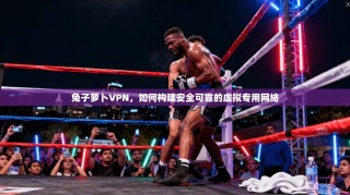 兔子萝卜VPN，如何构建安全可靠的虚拟专用网络