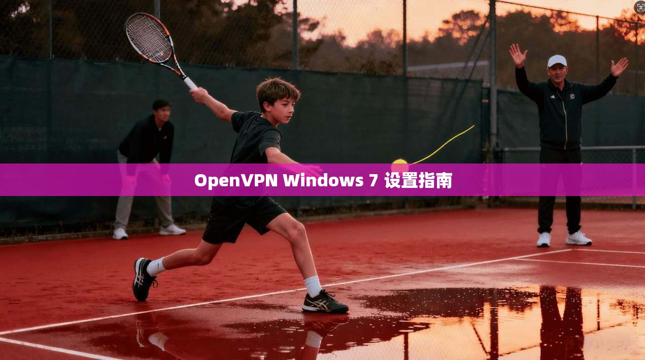 OpenVPN Windows 7 设置指南  第1张