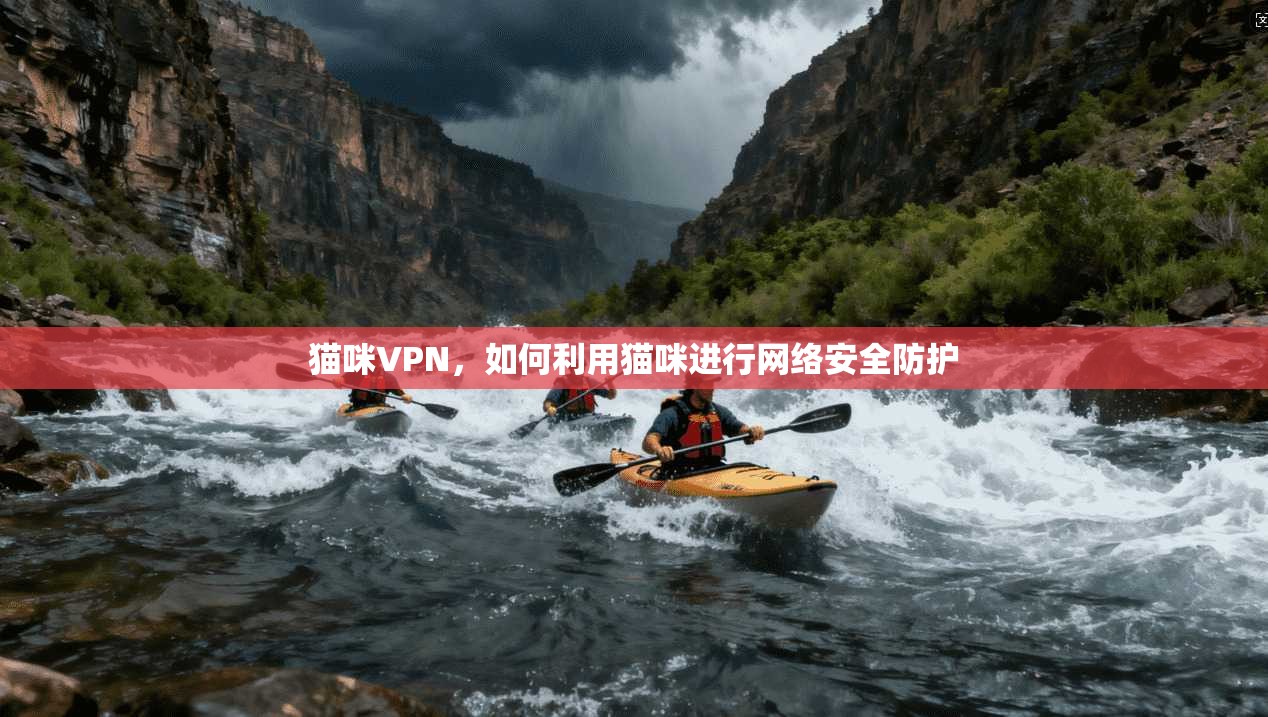 猫咪VPN，如何利用猫咪进行网络安全防护  第1张