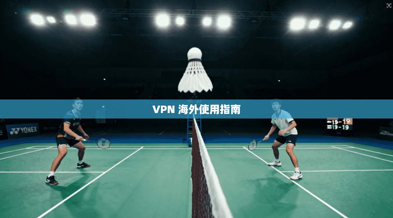 VPN 海外使用指南  第1张