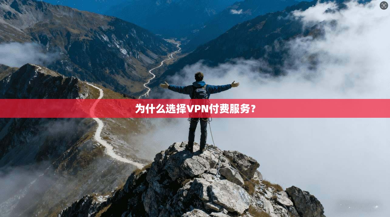 为什么选择VPN付费服务？  第1张