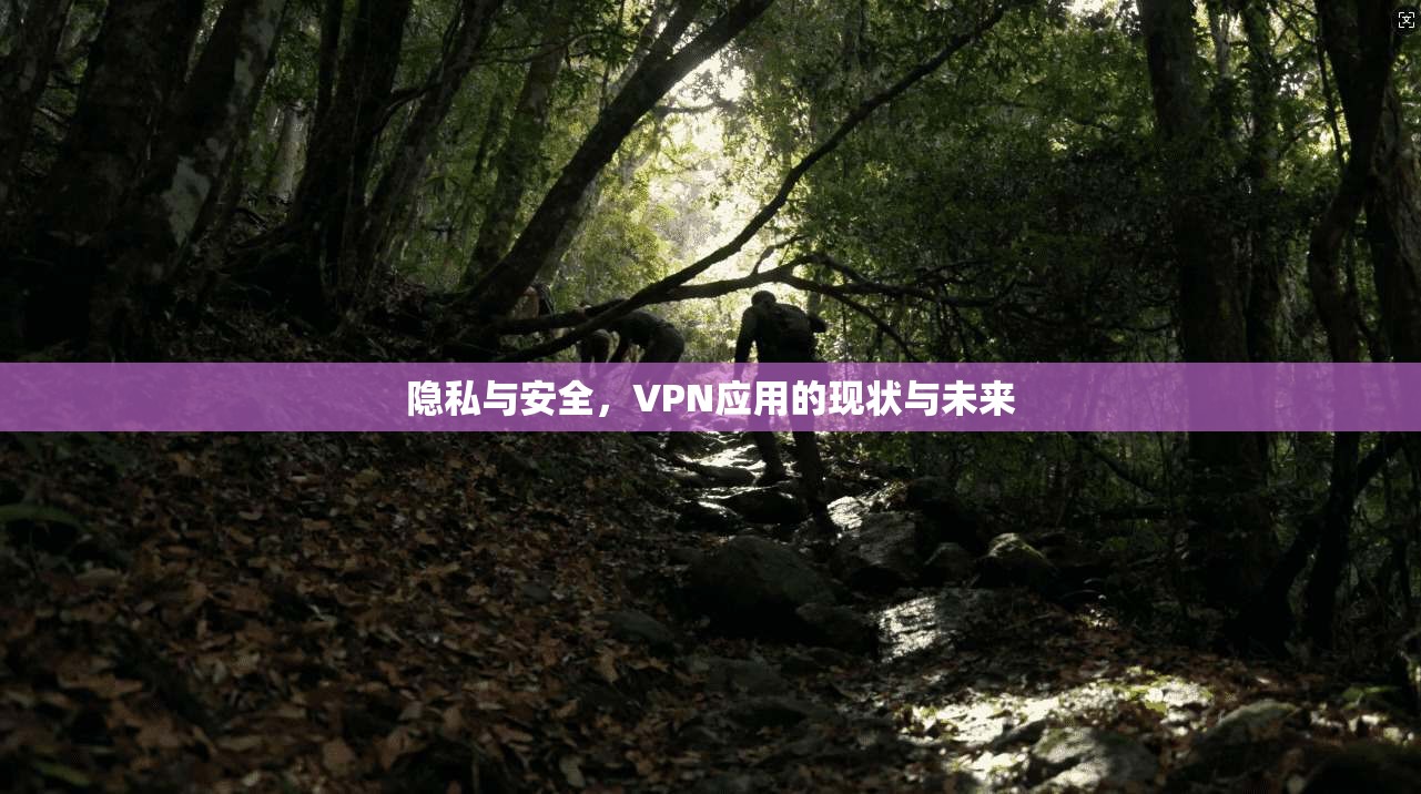隐私与安全，VPN应用的现状与未来  第1张