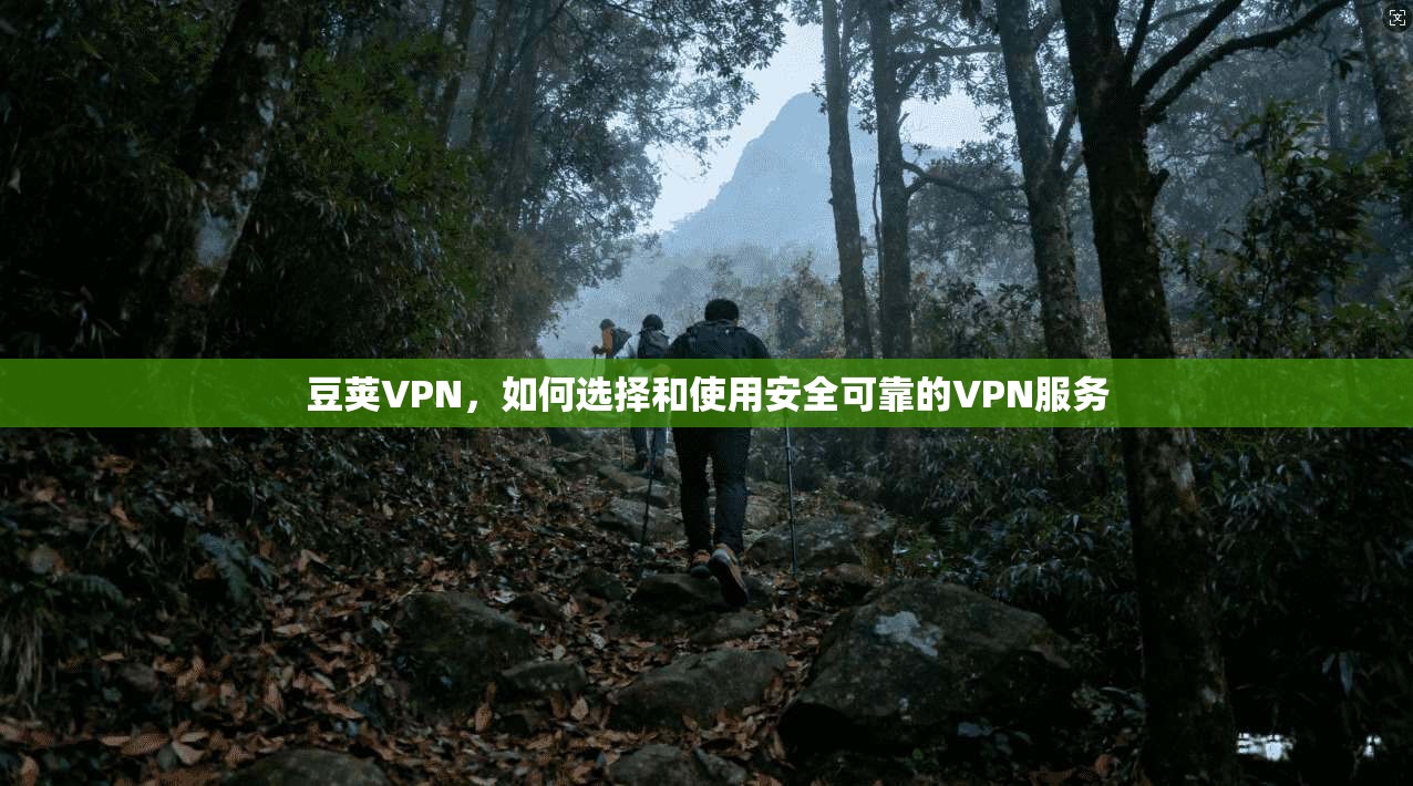 豆荚VPN，如何选择和使用安全可靠的VPN服务  第1张