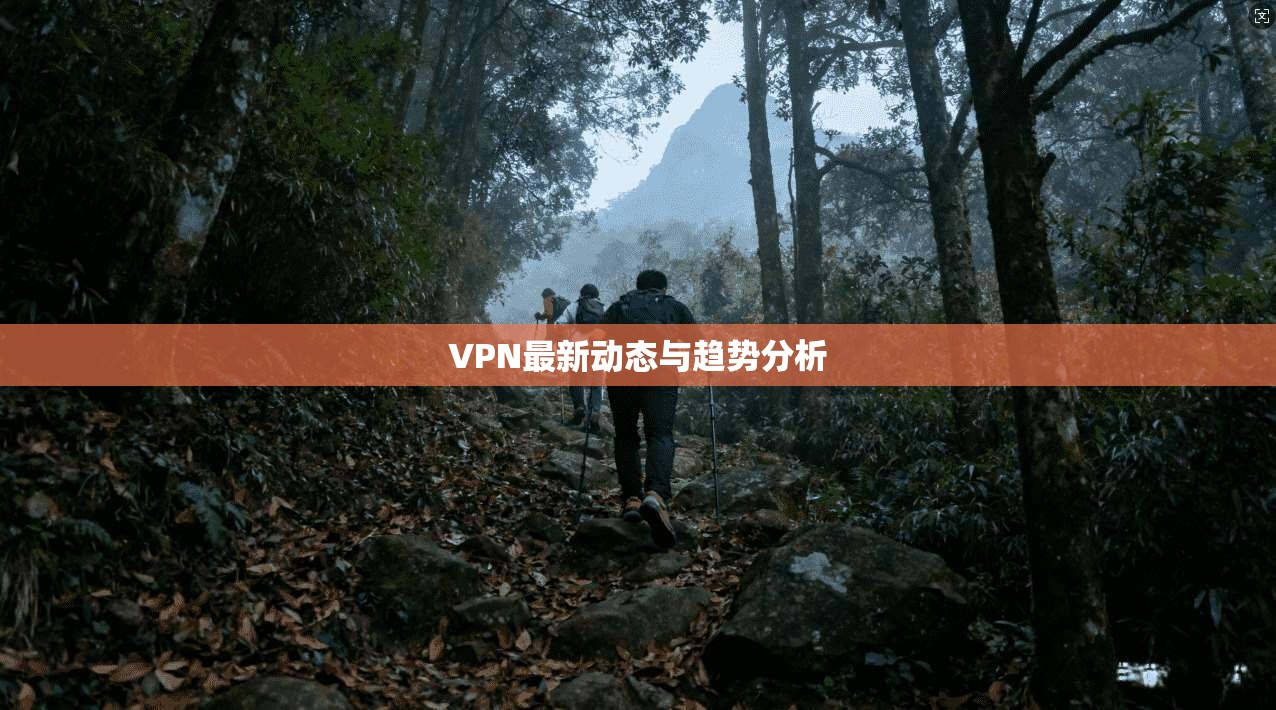 VPN最新动态与趋势分析  第1张